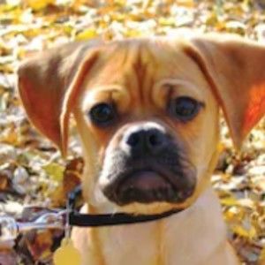 Meet your Posher, Nataliya